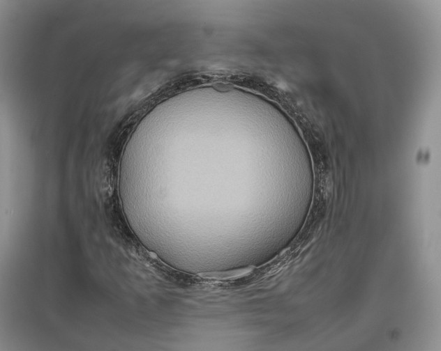 X0000097601253200803141909