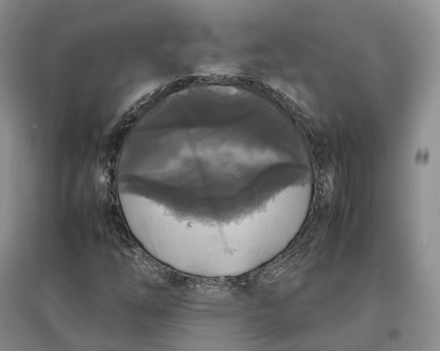 X0000097601254200803141909