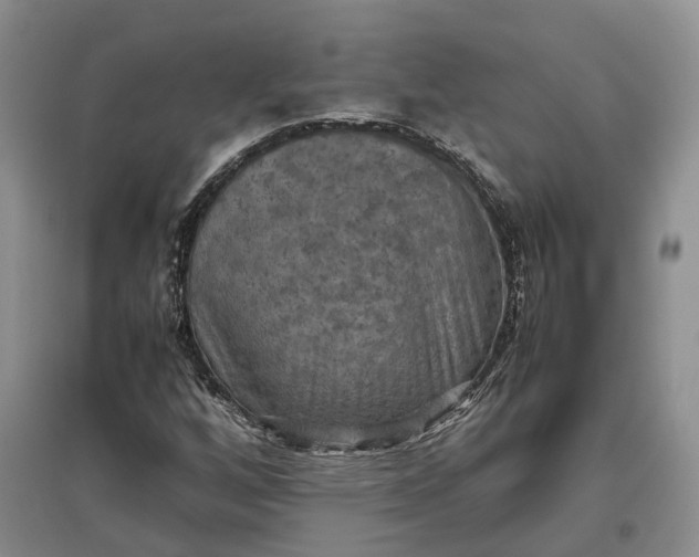 X0000097601256200803141909