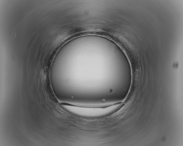 X0000097601257200803141909