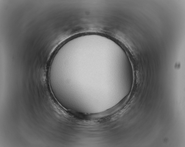 X0000097601260200803141909