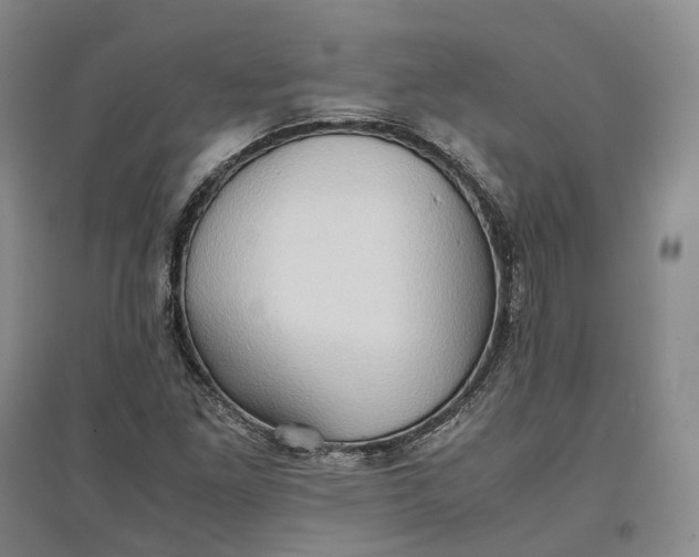 X0000097601261200803141909