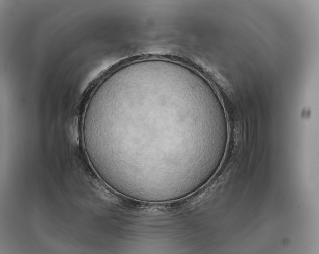 X0000097601262200803141909
