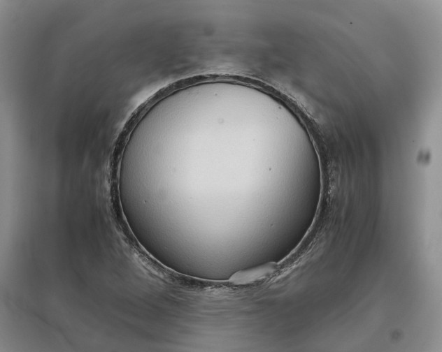 X0000097601264200803141909