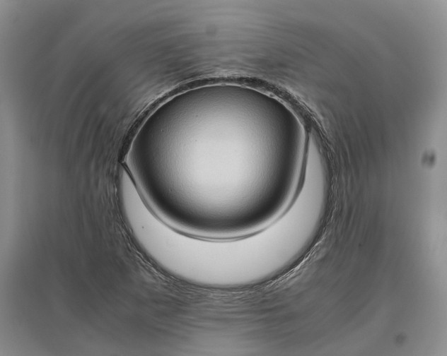 X0000097601265200803141909