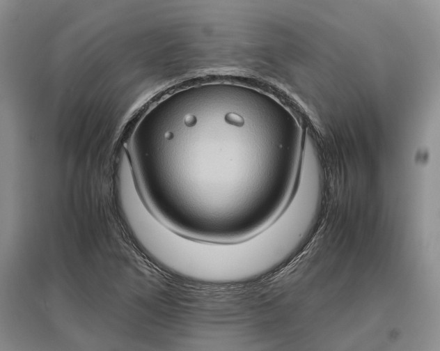X0000097601266200803141909