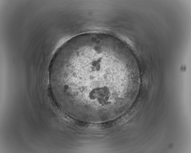 X0000097601267200803141909
