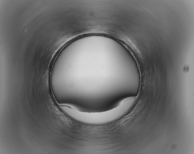 X0000097601268200803141909