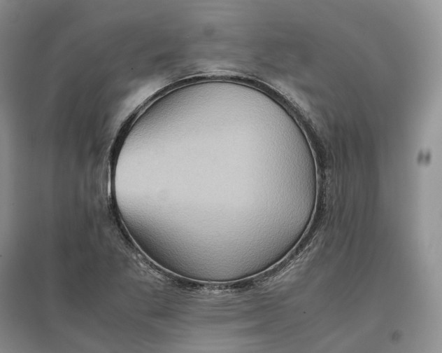 X0000097601269200803141909