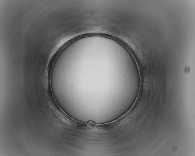 X0000097601270200803141909