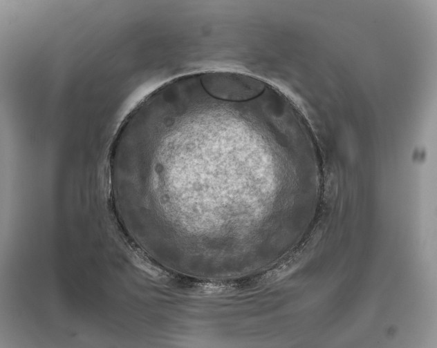 X0000097601271200803141909