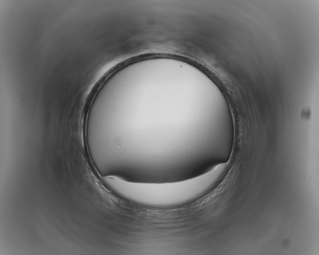 X0000097601272200803141909
