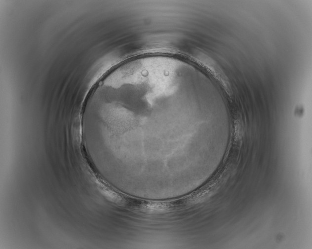 X0000097601274200803141908