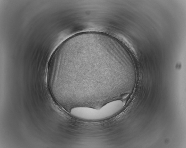 X0000097601276200803141908