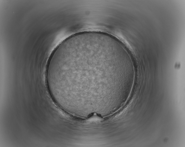 X0000097601277200803141908