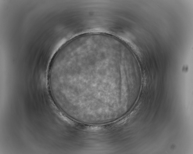 X0000097601278200803141908