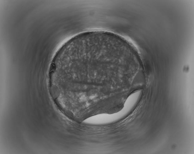 X0000097601279200803141908