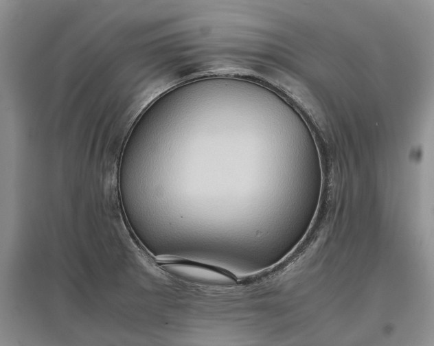X0000097601281200803141908