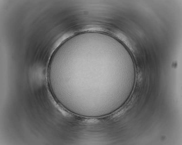 X0000097601282200803141908