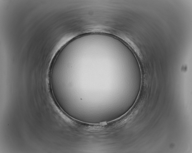X0000097601285200803141908