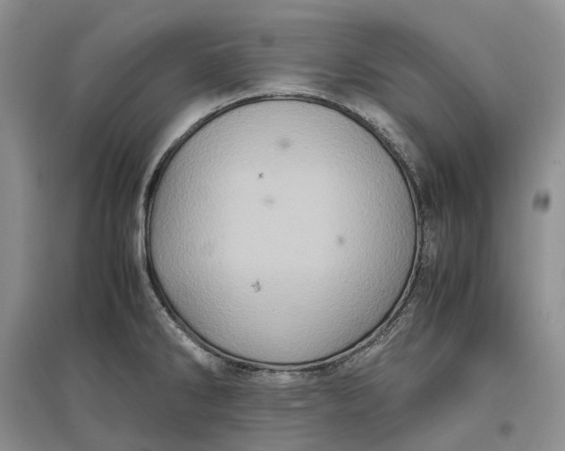 X0000097601286200803141908