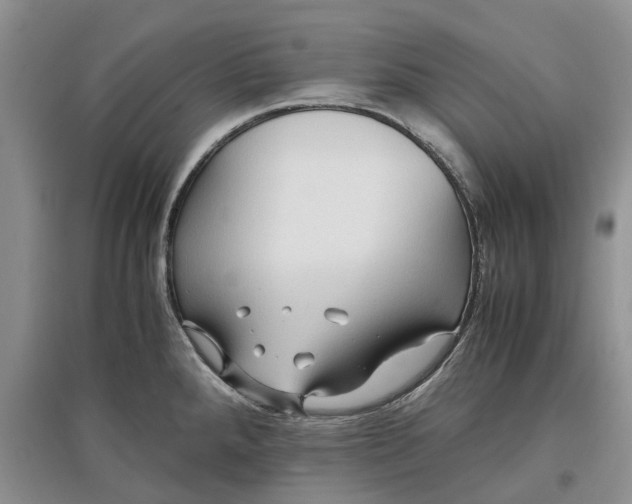 X0000097601288200803141908