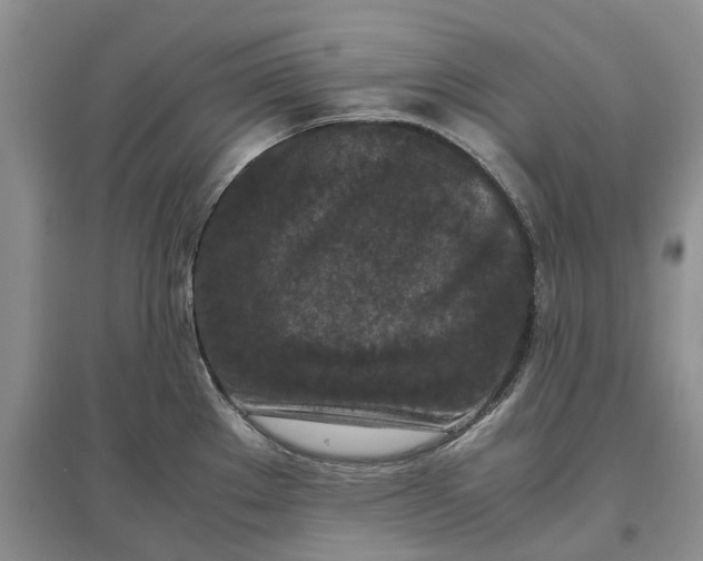 X0000097601289200803141908
