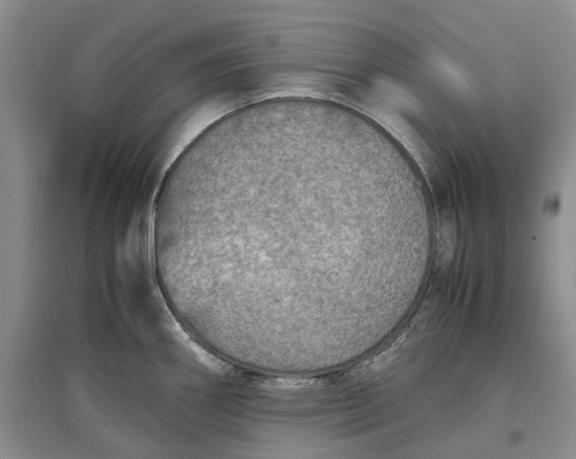 X0000097601290200803141908