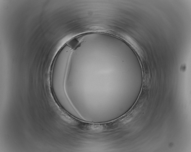 X0000097601291200803141908