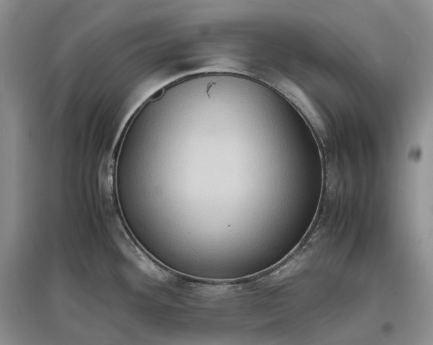 X0000097601292200803141908
