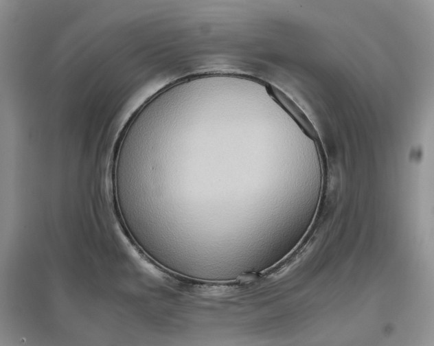 X0000097601293200803141908