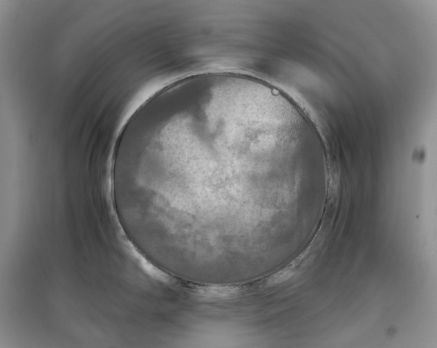 X0000097601294200803141908
