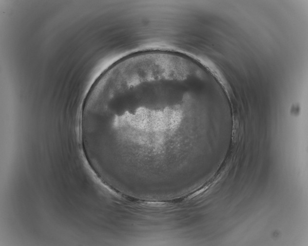 X0000097601295200803141908