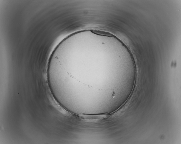 X0000097601296200803141908