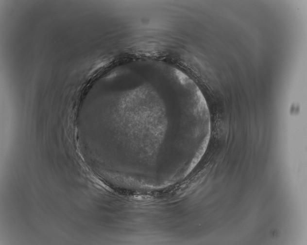 X0000097601297200803141908