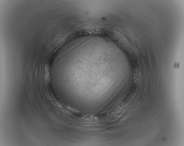 X0000097601298200803141908