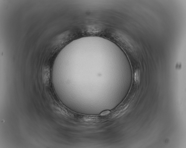 X0000097601299200803141908