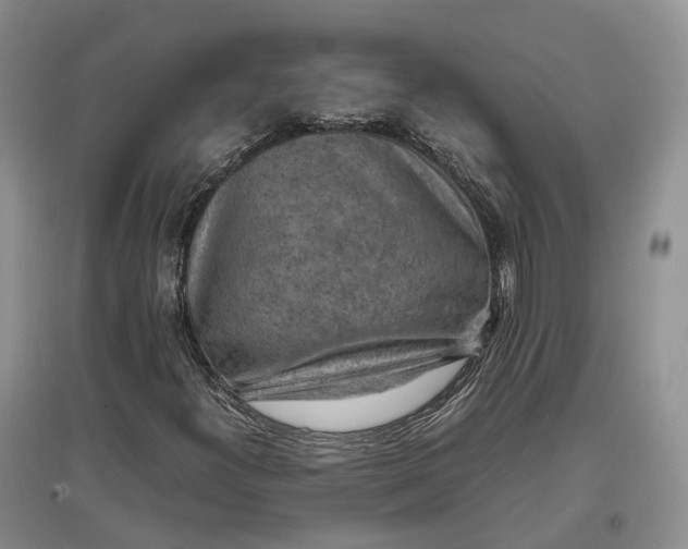 X0000097601300200803141908