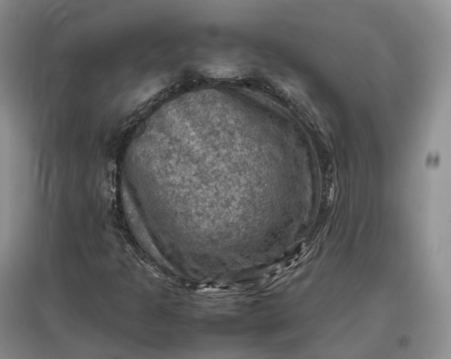 X0000097601301200803141908