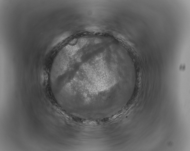X0000097601302200803141908