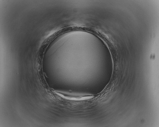 X0000097601303200803141908