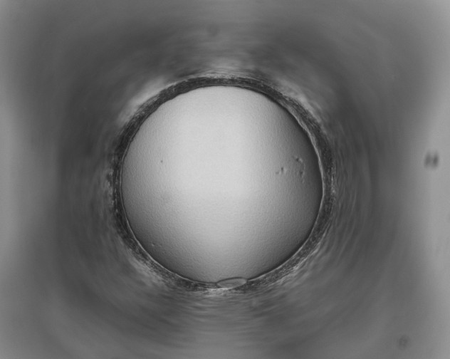 X0000097601304200803141908