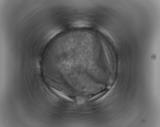 X0000097601305200803141908