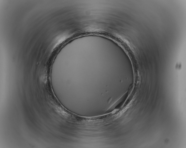 X0000097601306200803141908