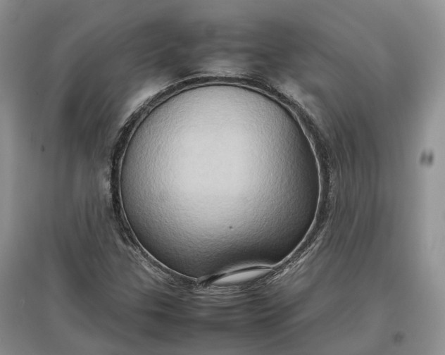 X0000097601307200803141908