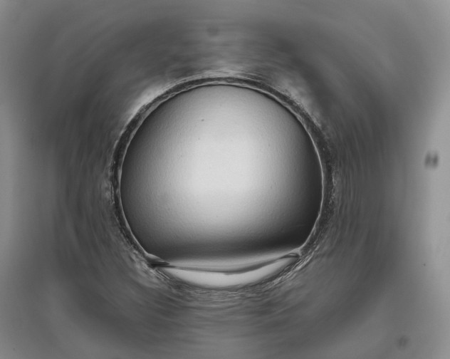 X0000097601308200803141908