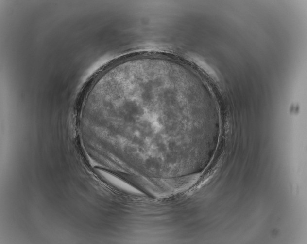 X0000097601310200803141908