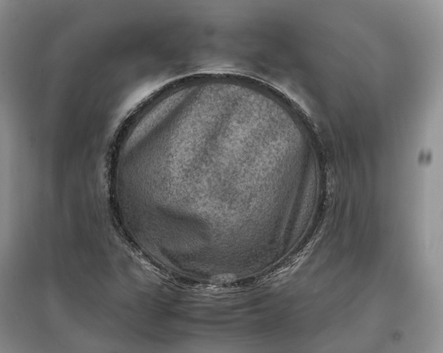 X0000097601311200803141908