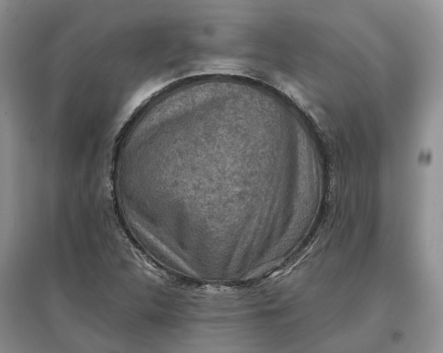 X0000097601312200803141908