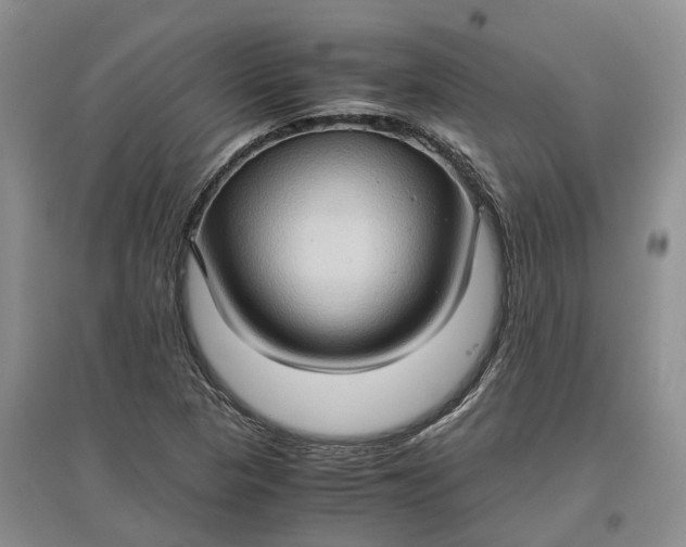 X0000097601313200803141908
